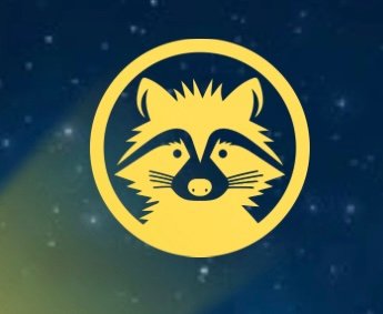 Site Icon Trash Panda LLC