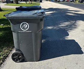 Trash Panda Can to Curb Service